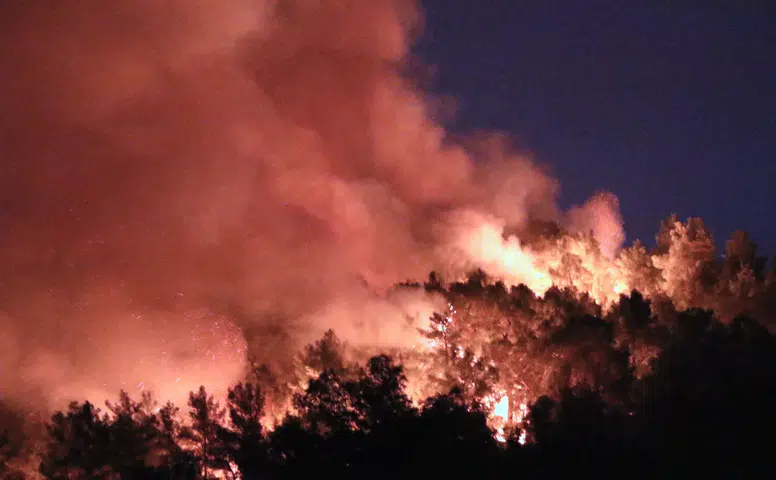 Orman Yangını Mahallelere Sıçradı! Kumluca'da Korku Dolu Gece