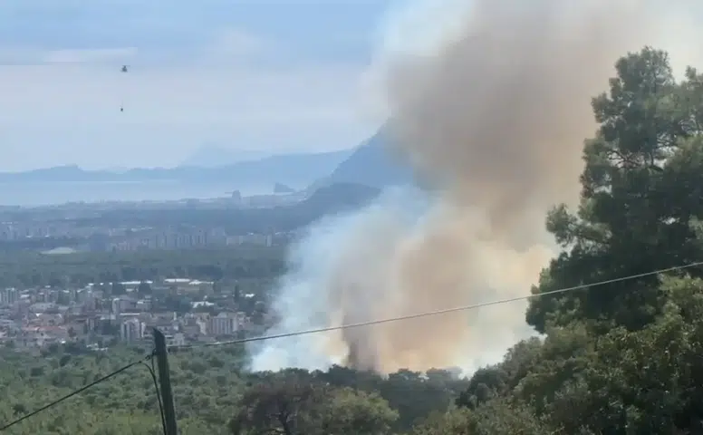 Kepez Santral Mahallesi'nde Orman Yangını