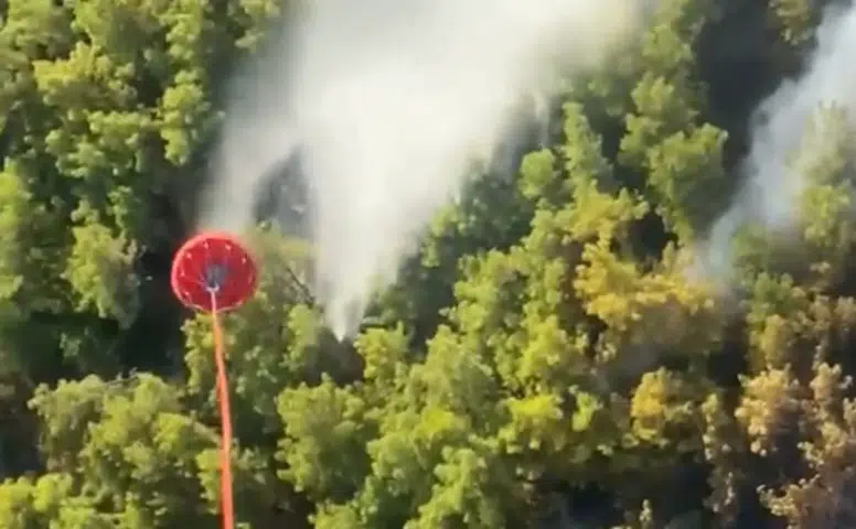 Manavgat Alevlere Teslim: Örenşehir'de Orman Yangını