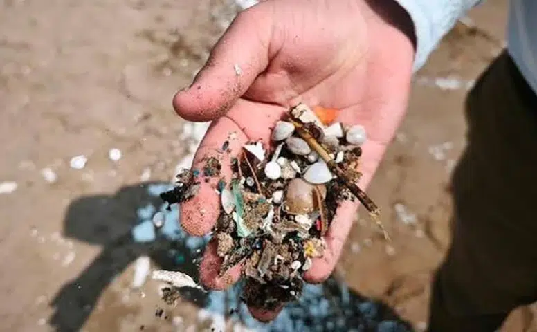 Avrupa Birliği Duruma El Koydu Atık İhracatı Düştü