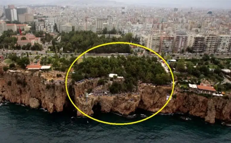 Müze Çalışma Grubu'ndan Kuğulu Park Çağrısı