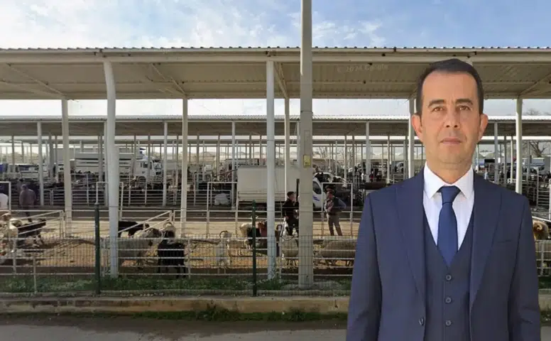 "Antalya’da Şap Aşısı Çalışmaları Sürüyor"
