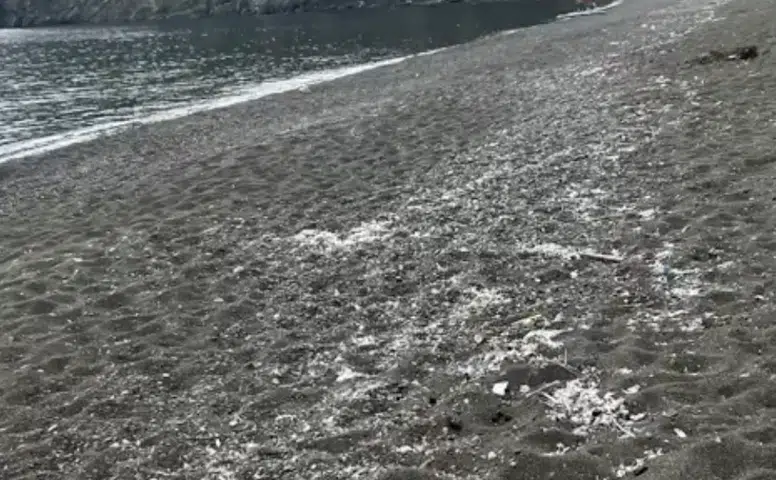 Kaş'tan Sonra Kemer Maden Koyu Mikroplastikle Kaplandı! Akdeniz'de Çevre Felaketi Büyüyor