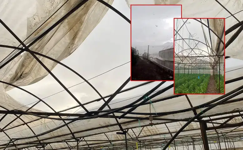 Kumluca'da Fırtınanın Vurduğu Seralarda Hasar Büyük!