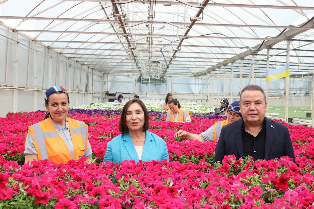 selvi kılıçdaroğlu bitki serası (32)