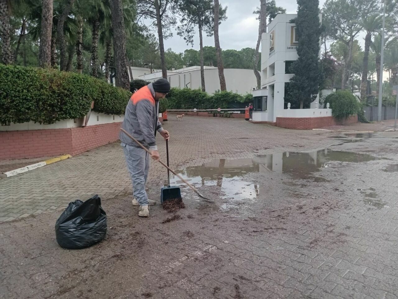 Kemer’de Temizlik Rutini! Tertemiz Olacak!