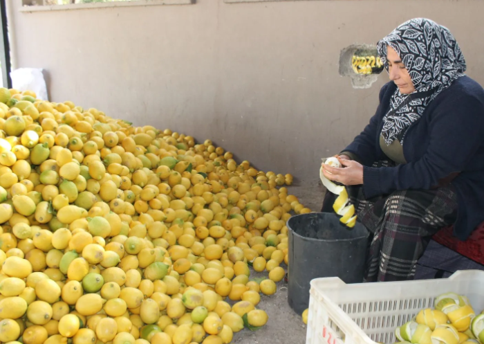 Limon