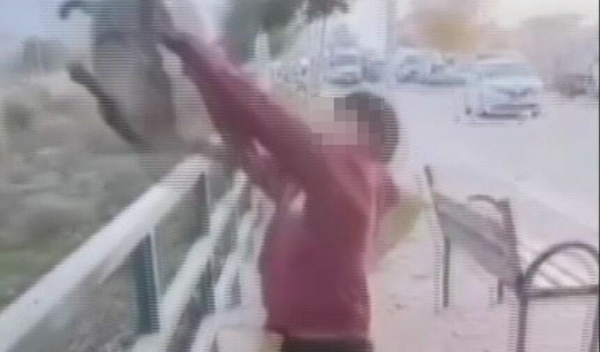 Tiktok'ta Paylaşmak Için Kediyi Irmağa Attılar!