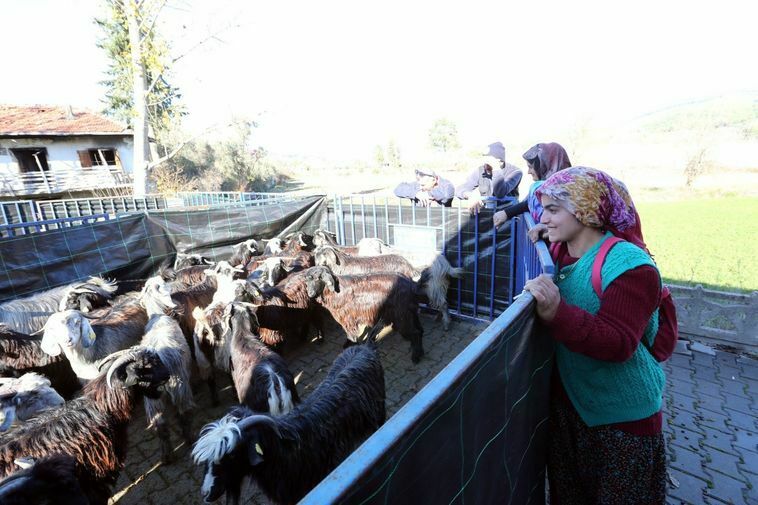 Muğla'da Çiftçi Ve Kooperatiflere Verilen Tarımsal Destekler