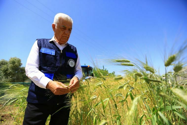 Muğla'da Çiftçi Ve Kooperatiflere Verilen Tarımsal Destekler 