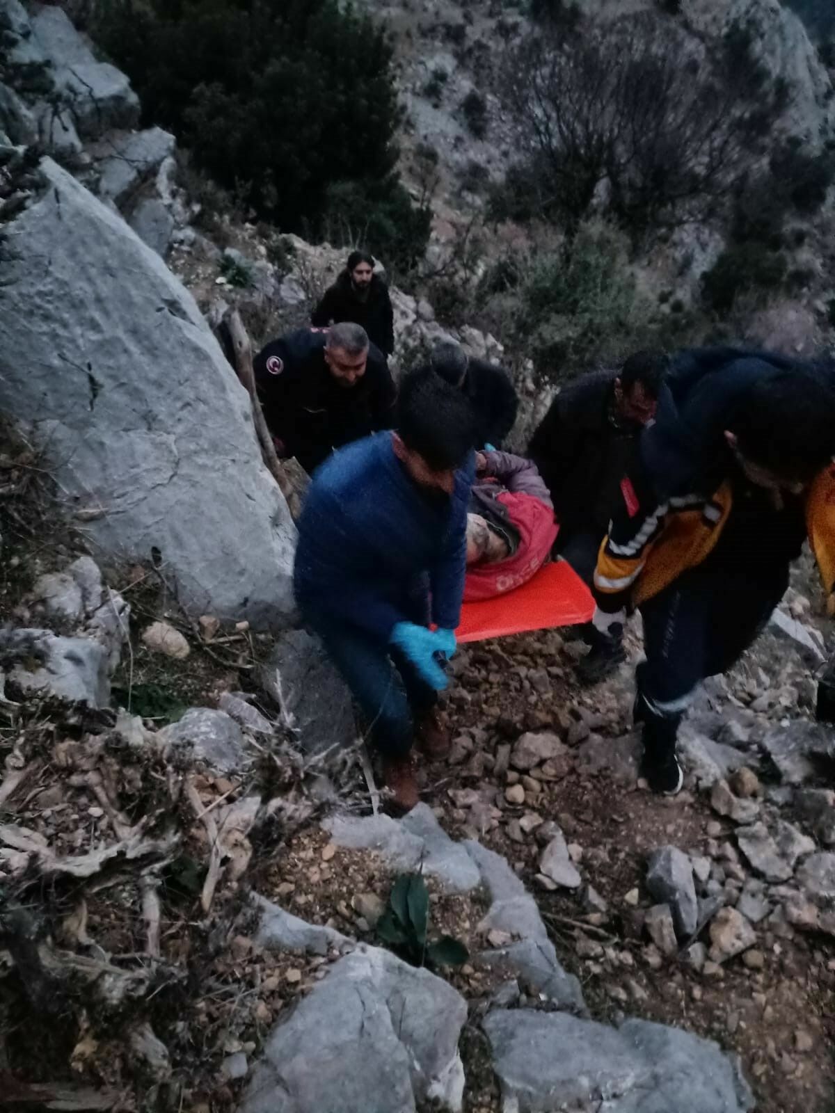 Dal Kesmek Için Çıktığı Ağaçta Kalp Krizi Geçirdi 