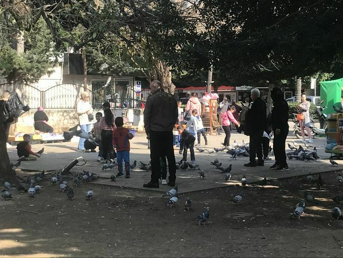 Kış Ortasında Adana'da Bahar Havası 