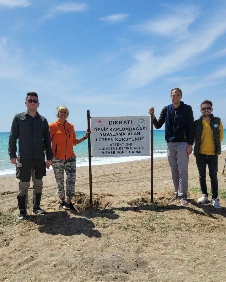 Manavgat sahilinde deniz kaplumbağaları için uyarı tabelaları asıldı