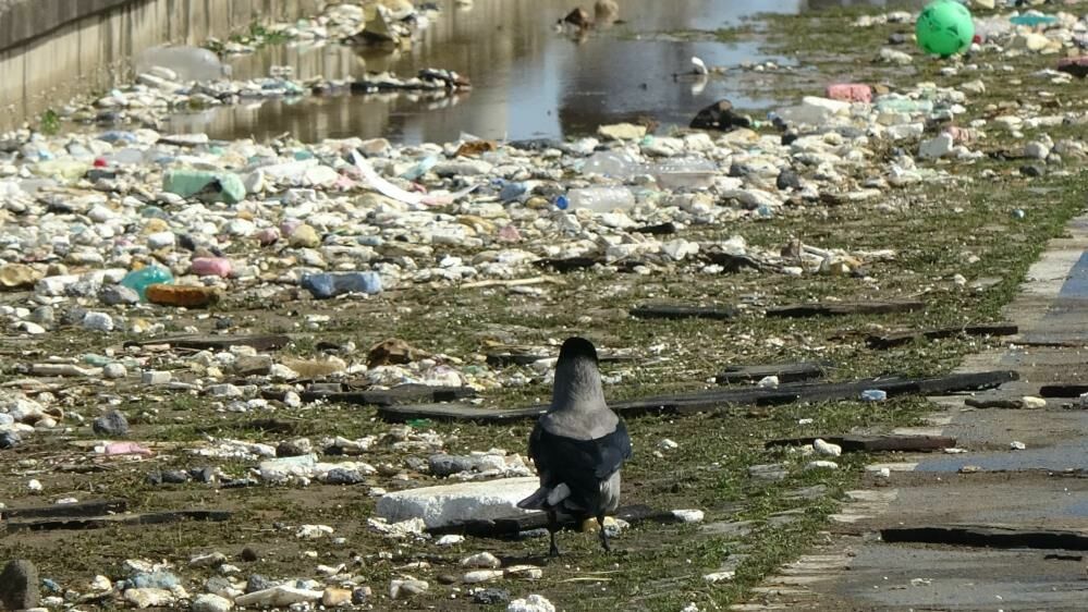 Kötü hava koşulları Trabzon sahillerini kirletti
