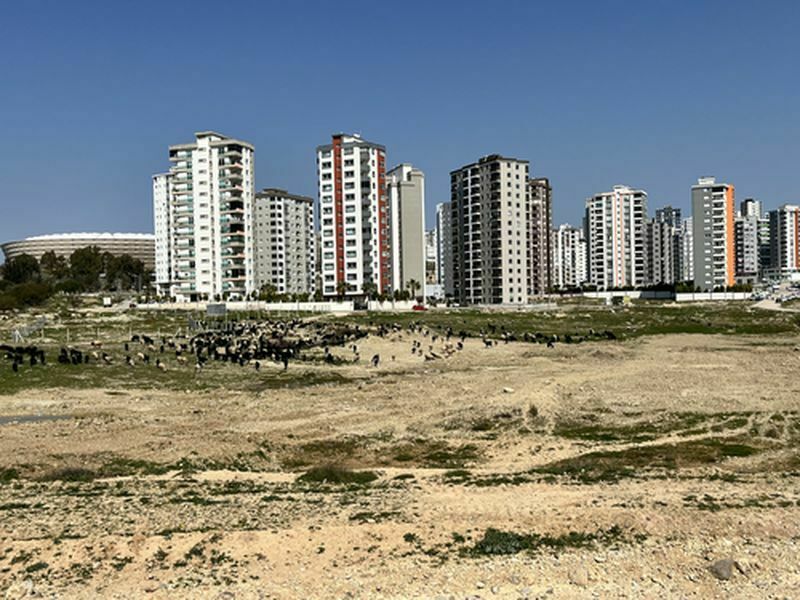 Adana'da Milyonluk Evler Otlağa Döndü (2) Result