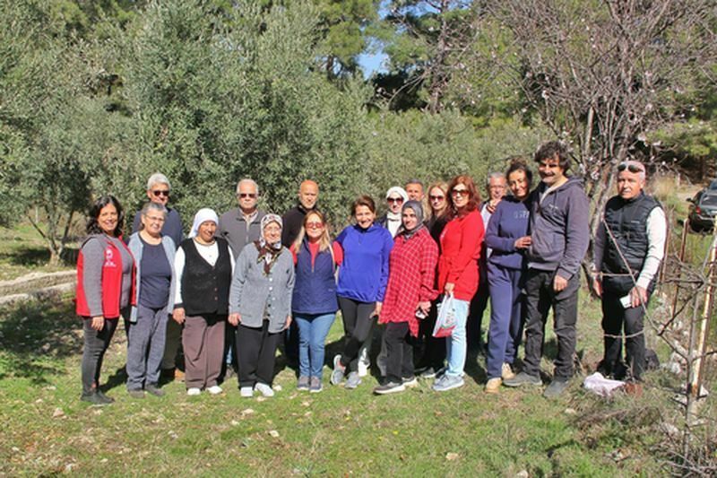 Fethiye'de Zeytin Budama Eğitimine Turistler Katıldı  (2) Result