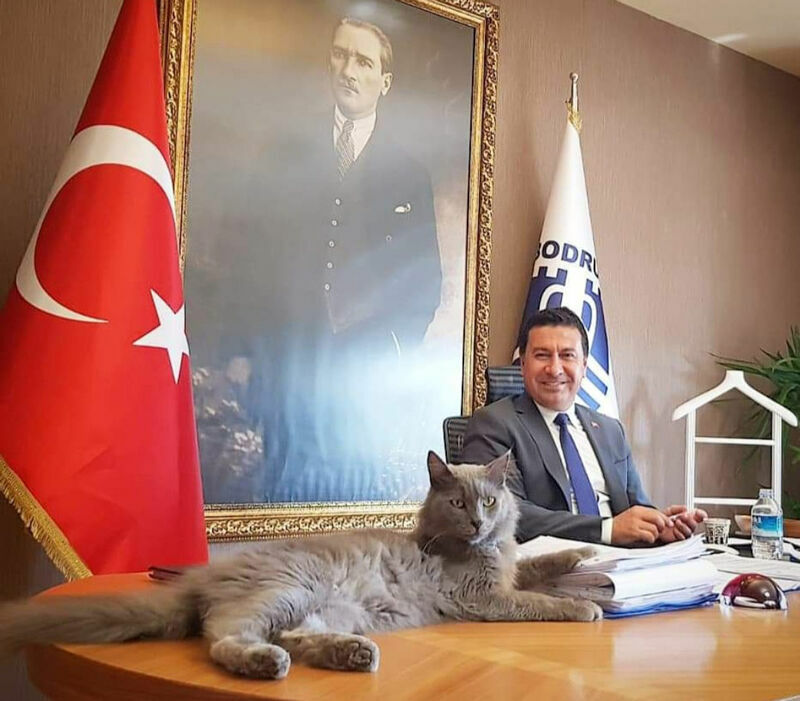 Ahmet Aras