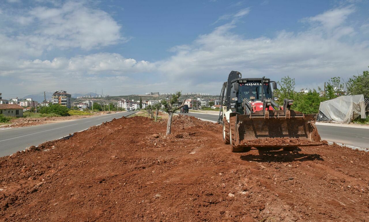 Kepez Belediyesi Kerkük Caddesi'ne zeytin ağaçları dikti