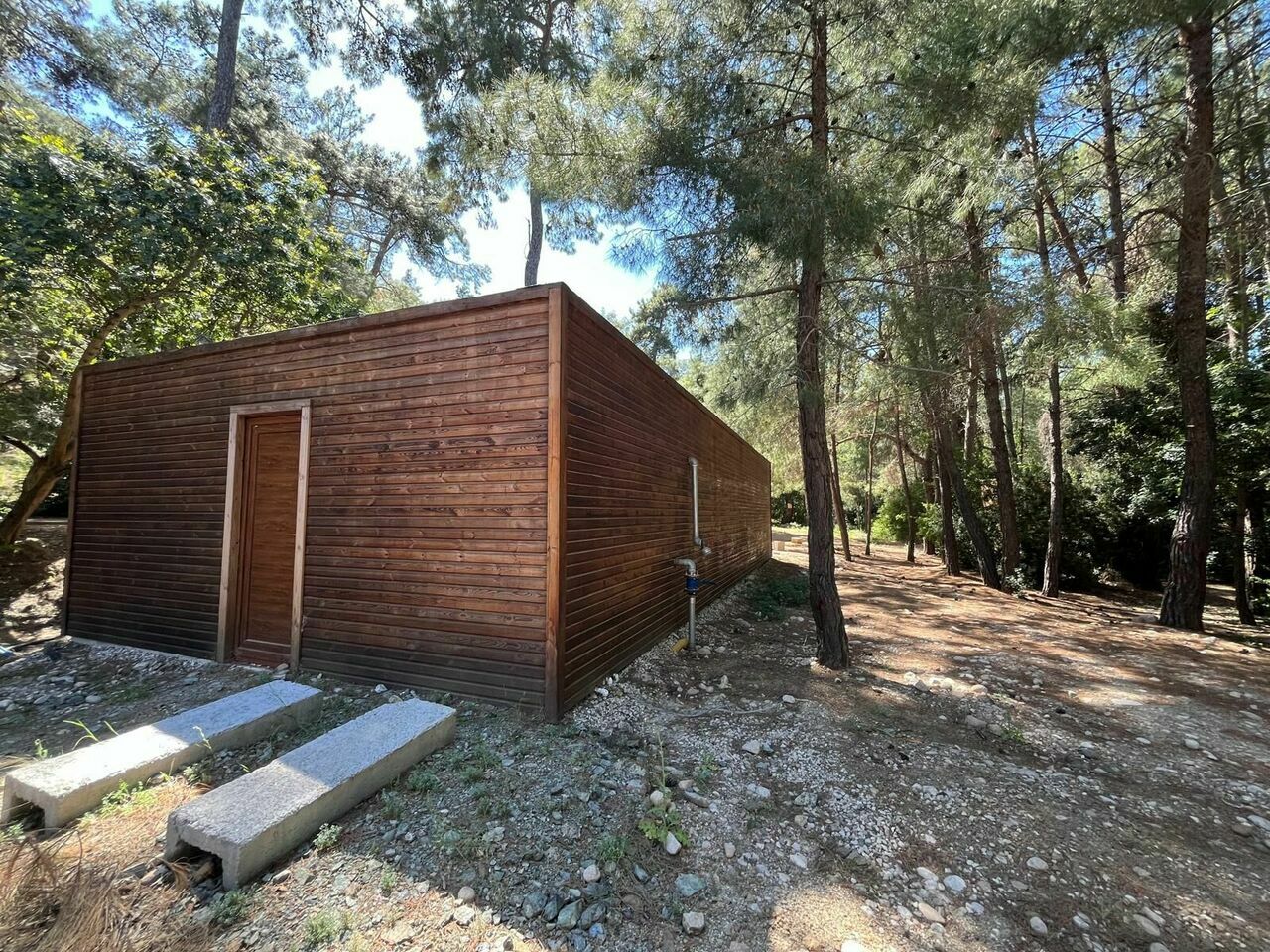 Phaselis Ortak 1