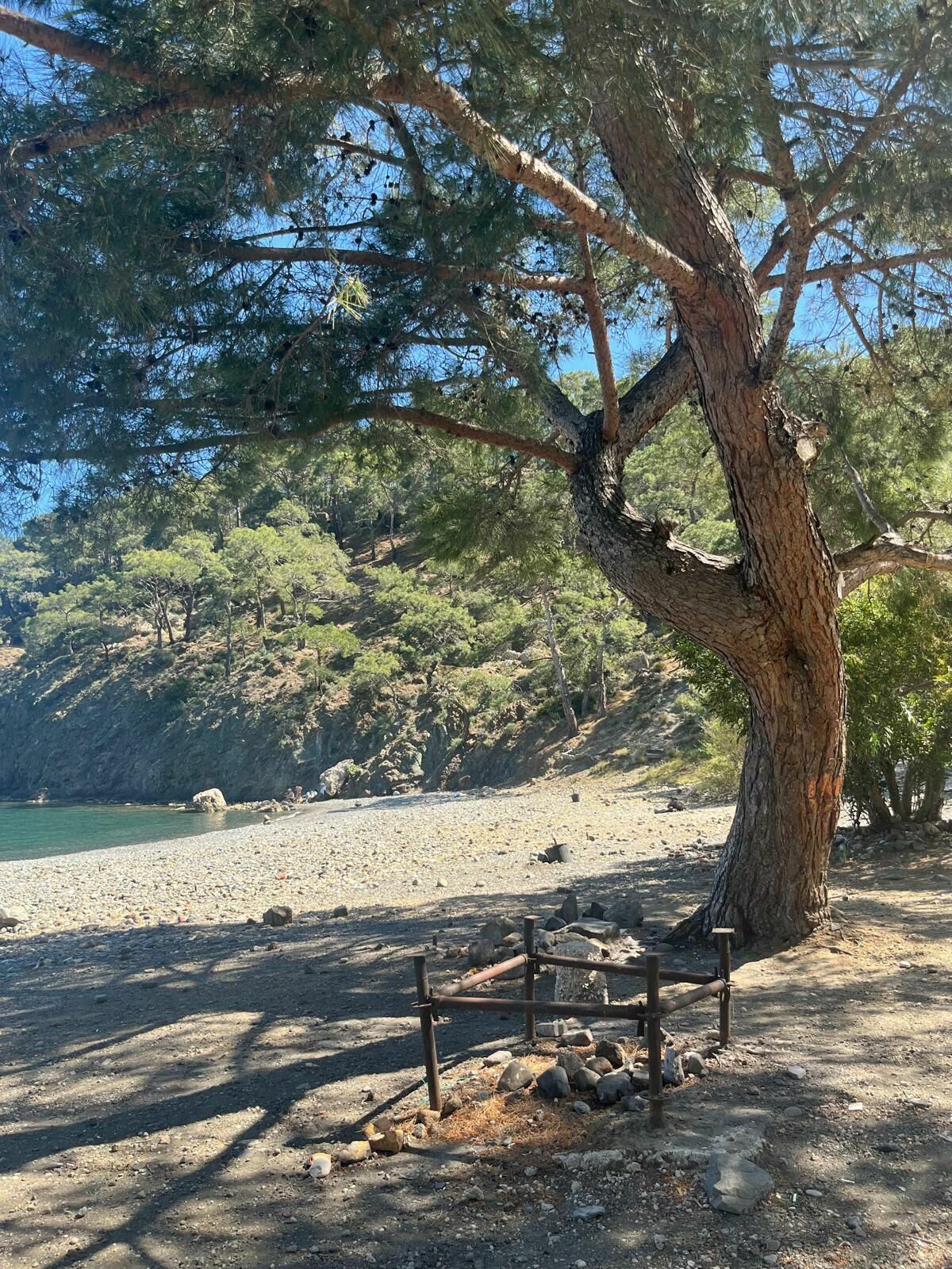 Phaselis Ortak 4