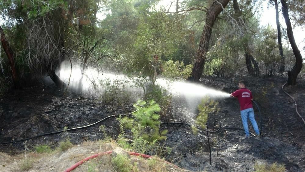 Manavgat'ta orman yangını zamanında müdahale ile söndürüldü