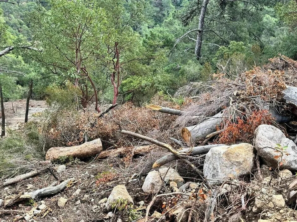 çalış tepe 1
