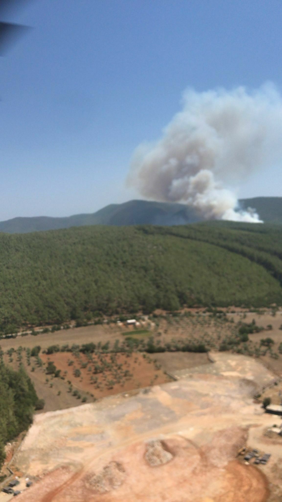 Bodrum'da Orman Yangını 2
