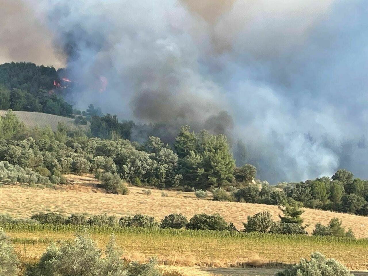 Manisa’daki 2 orman yangını devam ediyor
