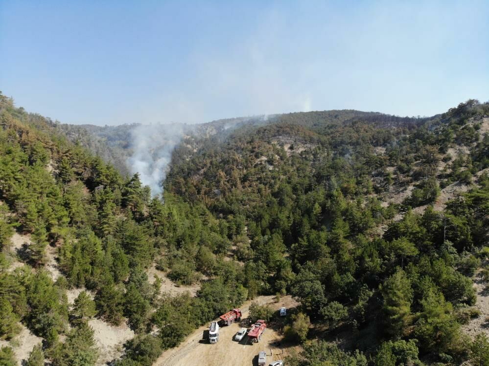 Bolu Yangın5