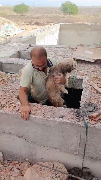 Serik'te İnşaat İşçilerinden Örnek Davranış: Havuz Makine Dairesine Düşen Köpeği Kurtardılar
