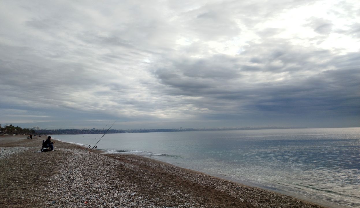 Antalya Plajlarında Balon Balığı Alarmı! Karaya Çıkarılması Yasak Ama... 3