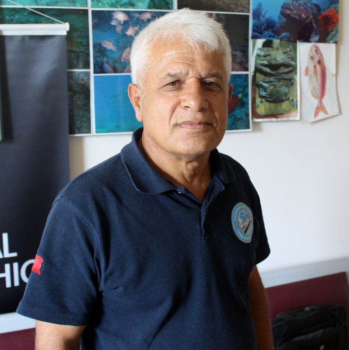 Antalya Plajlarında Balon Balığı Alarmı! Karaya Çıkarılması Yasak Ama... 4
