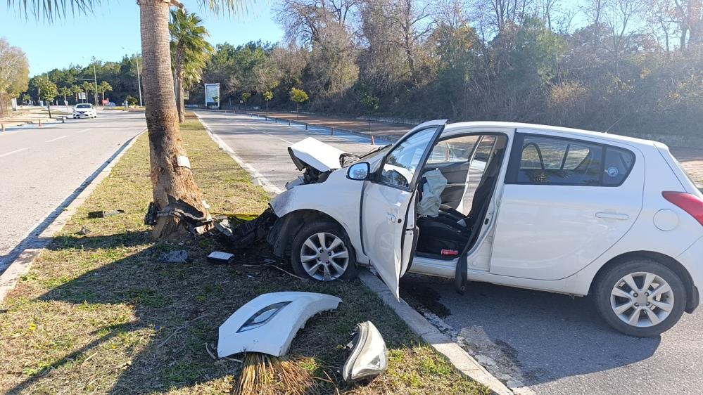 Manavgat'ta Otomobil Sürücüsü Virajı Alamadı! Palmiyeye Çarpan Araç Hurdaya Döndü