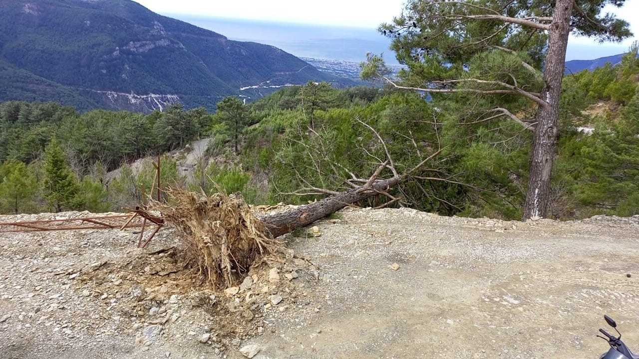 Alanya'da Fırtına Yıktı Geçti! Elektrik Kesintileri Bezdirdi 3