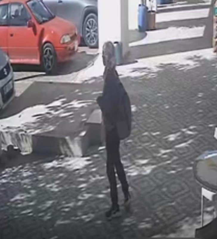 Antalya'da "Karam" Kedi Kaybolmuştu! Gerçek Ortaya Çıktı