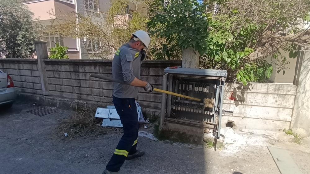 Manavgat'ta Elektrik Kutusunda Korkunç Manzara! 