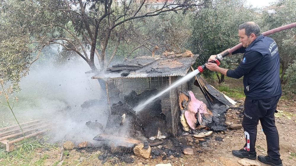 Manavgat'ta Ormanlık Alanda Yangın! Çıkış Sebebi Şaşırttı