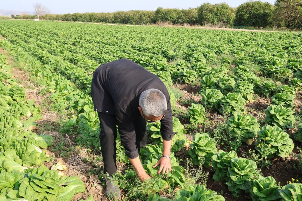 Tarlada 5 TL'ye Market de 30 TL'ye Satılıyor