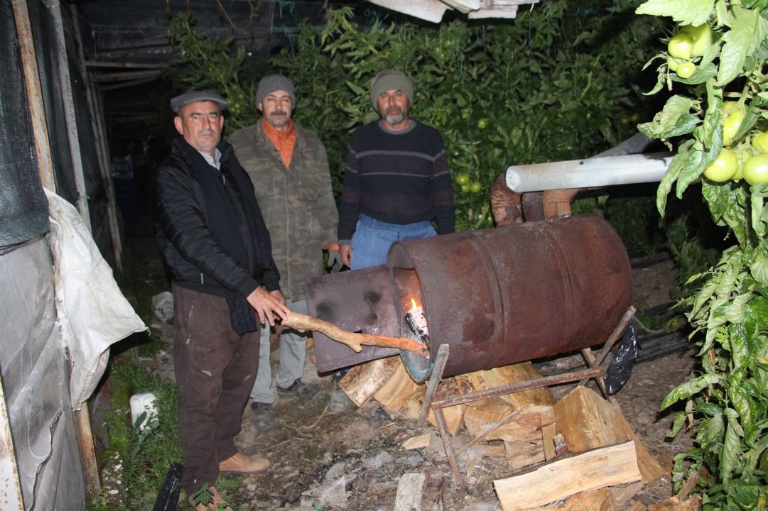Zmo Antalya Zirai Don Fırsatçılara Yaramasın 2