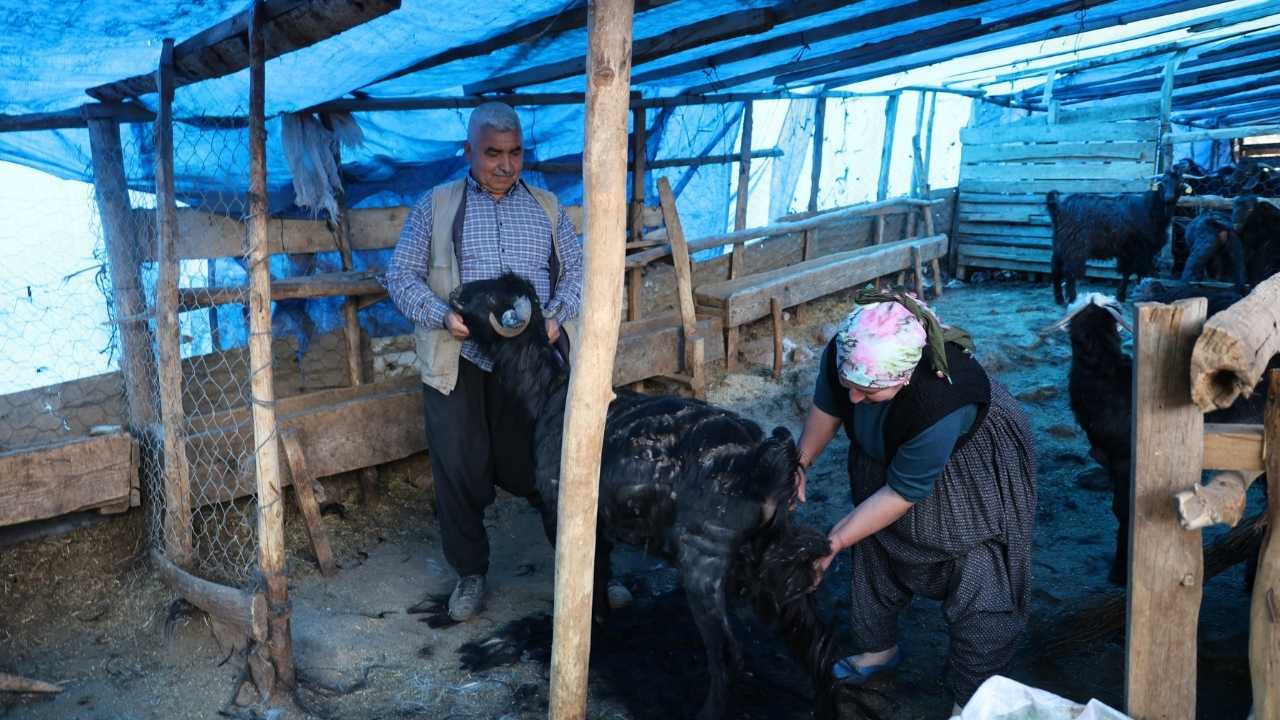 Adana’da Kurban Hazırlığı2