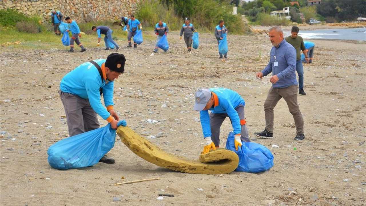 Alanya'da Kum Zambakları Ve Carettaların Yaşam Alanı Temizlendi 2