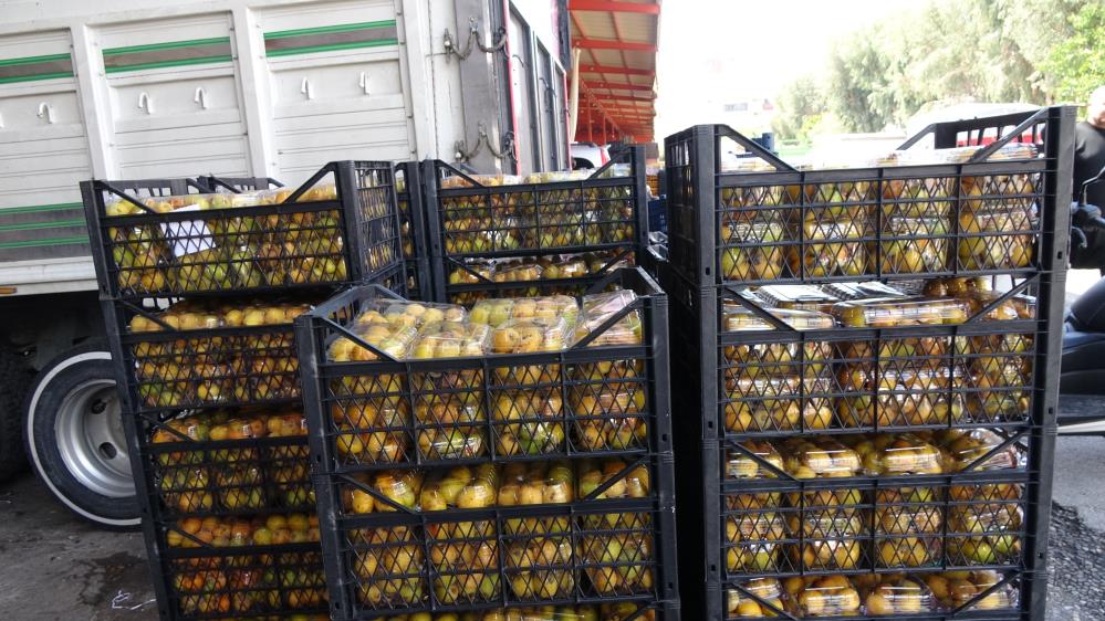 Alanya'da Muşmula Hasadı Başladı! Kilosu 150 TL'den Satılıyor
