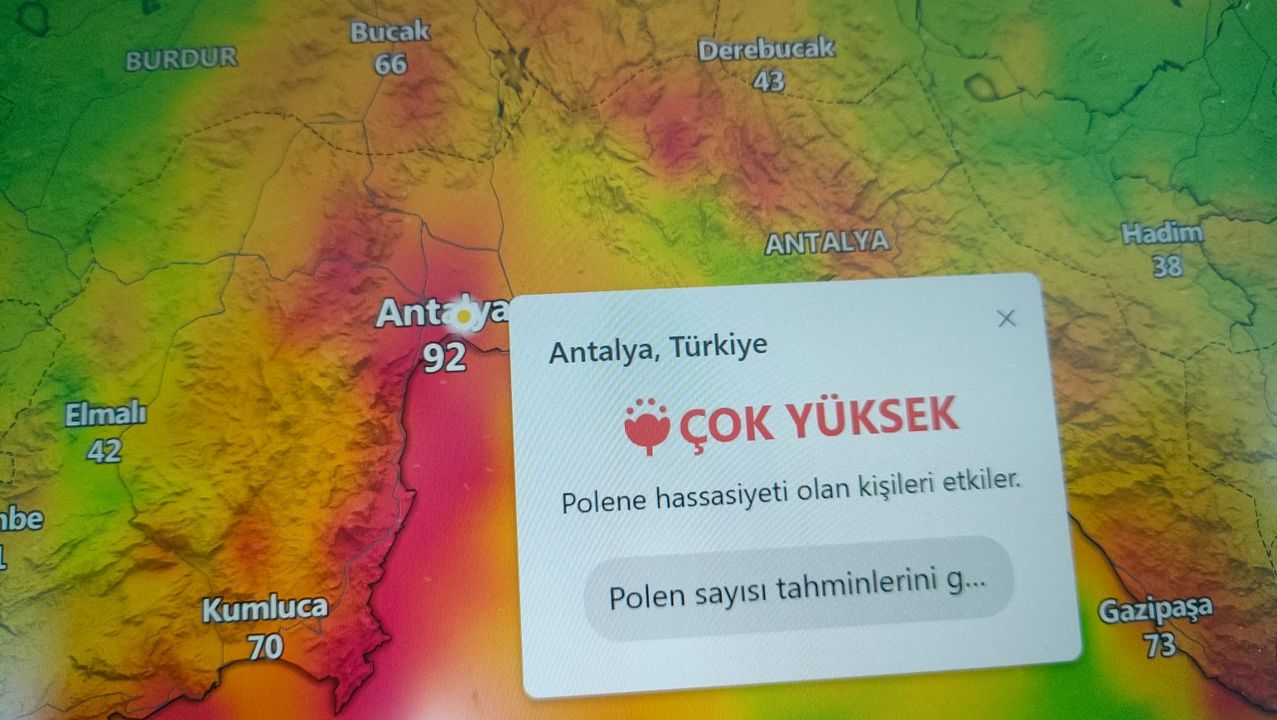 Antalya Tabip Odası Başkanı Uyardı Polen Alerjisini Küçümsemeyin  3
