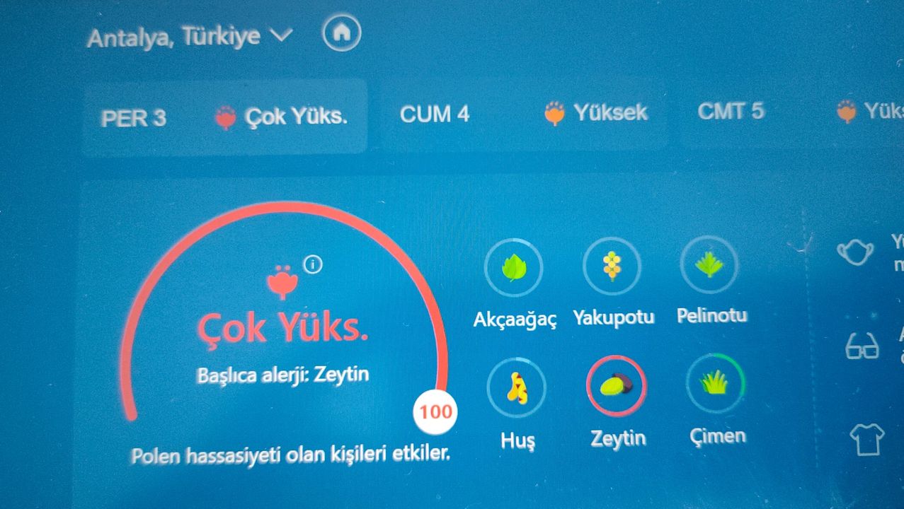 Antalya Tabip Odası Başkanı Uyardı Polen Alerjisini Küçümsemeyin  4