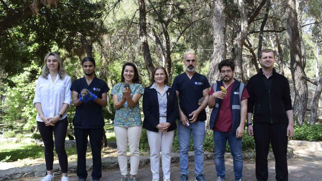 Antalya'daki Hayvan Kreşinde Yavrulara Özenle Bakılıyor 5