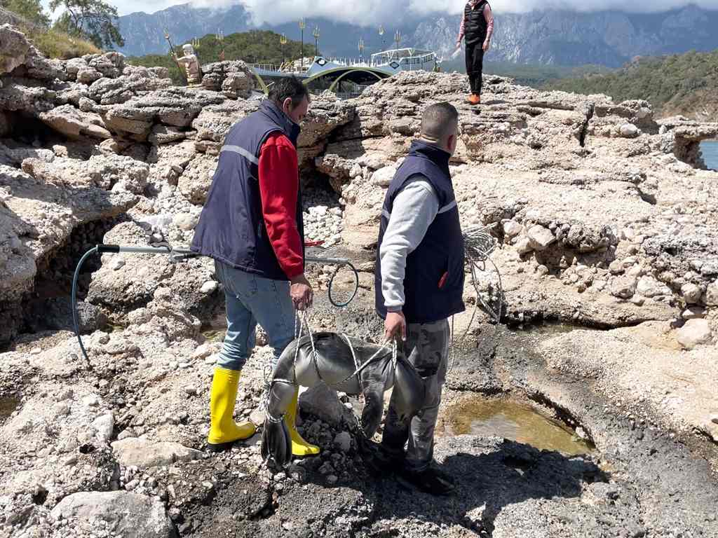 Antalya’da Denizle Buluşturulan Yavru Fok Ölü Bulundu 3