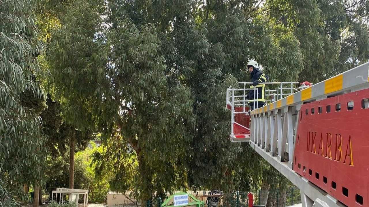 Hatay’da Kedinin İmdadına İtfaiye Yetişti2