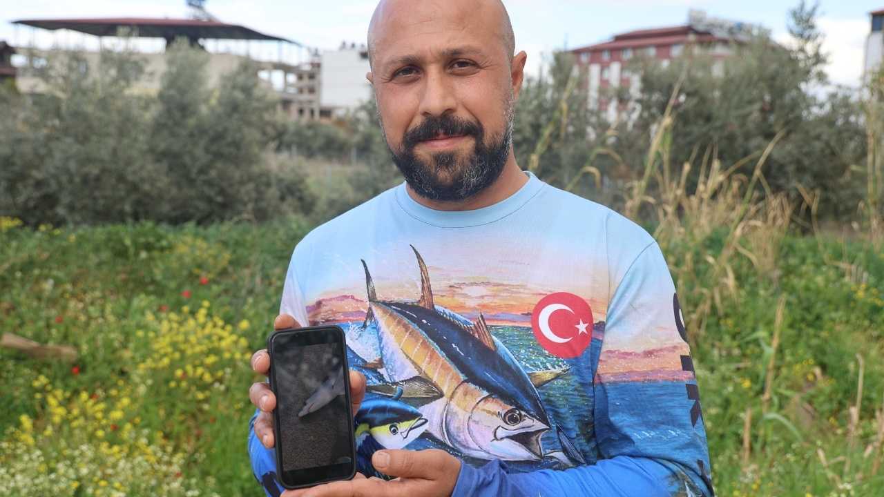 Hatay’da Oltaya Takılan Yavru Köpek Balığına Nasihat2