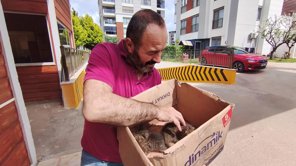 Kepez’de Aracın Motoruna Giren Yavru Kediler İçin Seferber Oldular