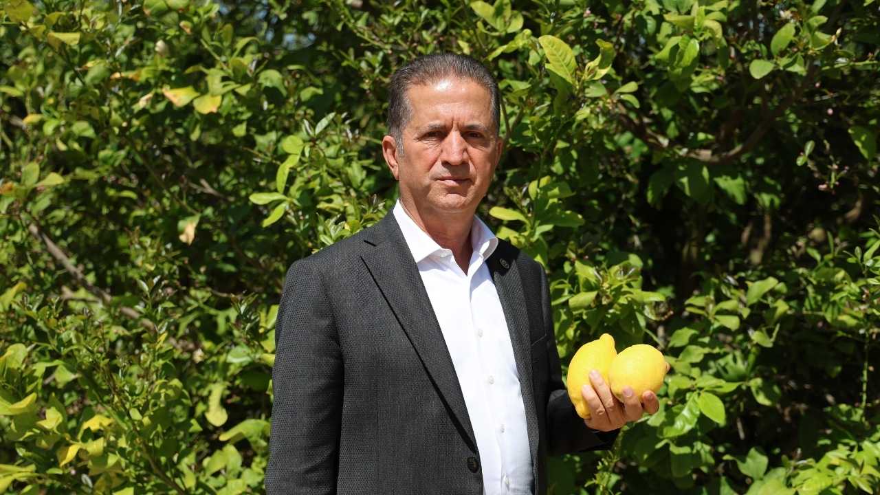 Limonda İhracat Yasağı Çiftçiyi Zarar Ettirecek2